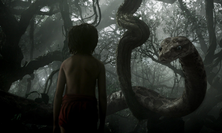 ディズニー実写映画 ジャングル ブック の作品情報 映画 ドラマ アニメ 動画コンテンツのおすすめ人気ランキング ネタバレ